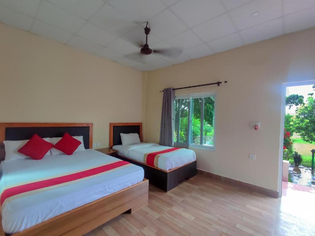 Hotel Greenland Safari Sauraha Extérieur photo
