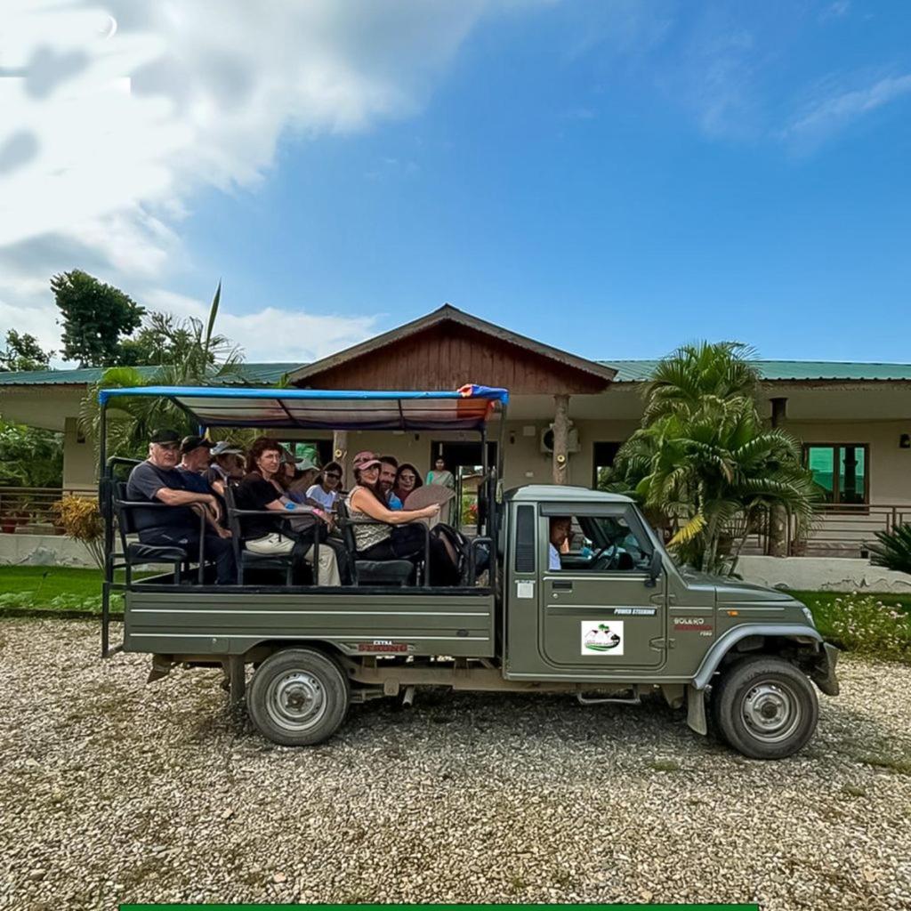 Hotel Greenland Safari Sauraha Extérieur photo