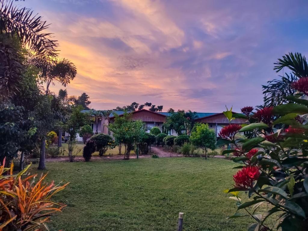 Hotel Greenland Safari Sauraha Extérieur photo