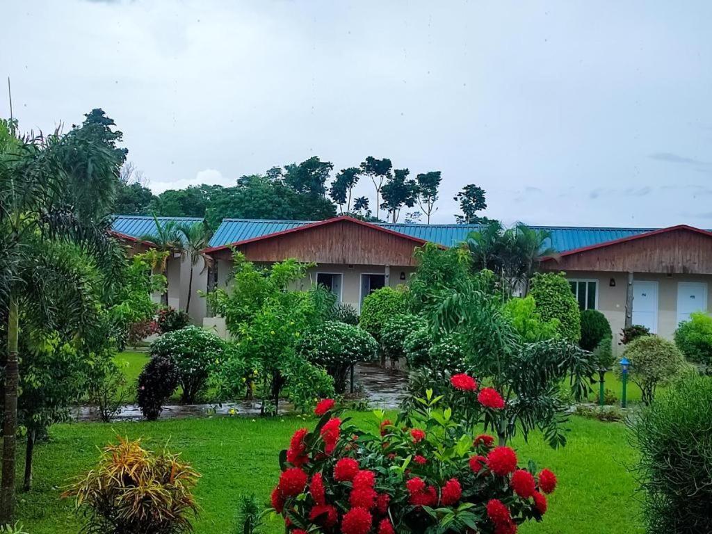 Hotel Greenland Safari Sauraha Extérieur photo